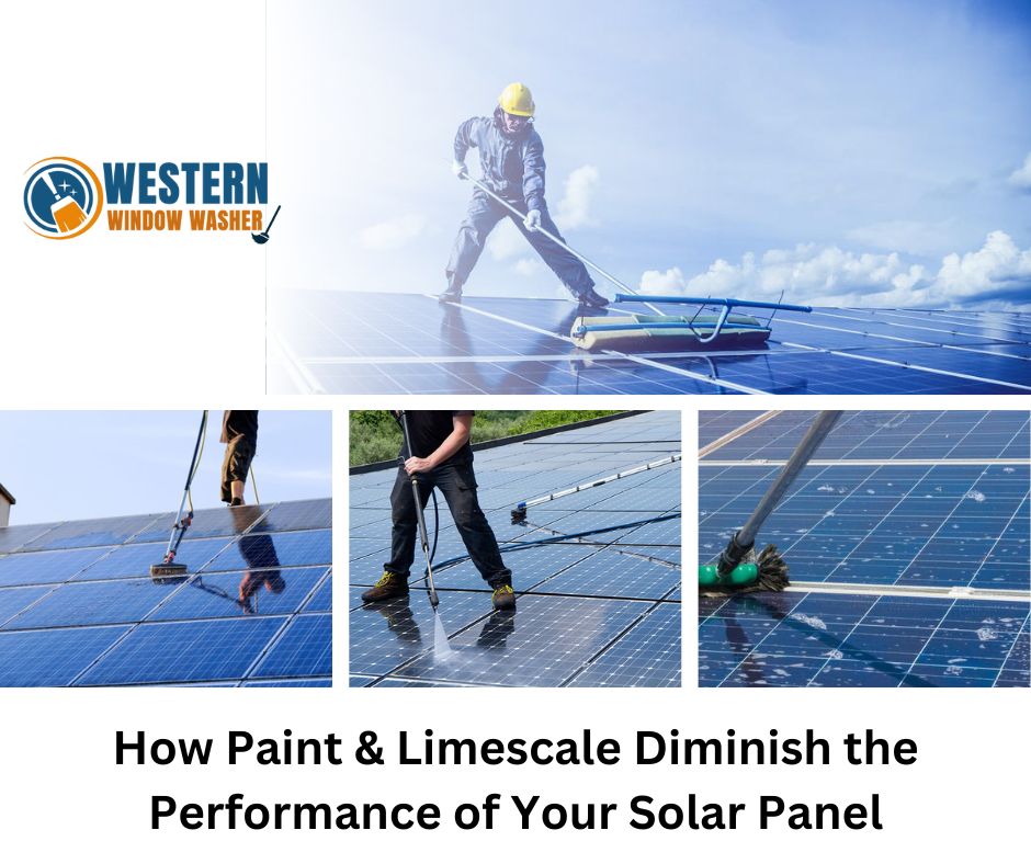 Solar Panel Cleaning Services